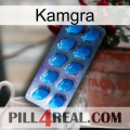 Kamgra viagra1